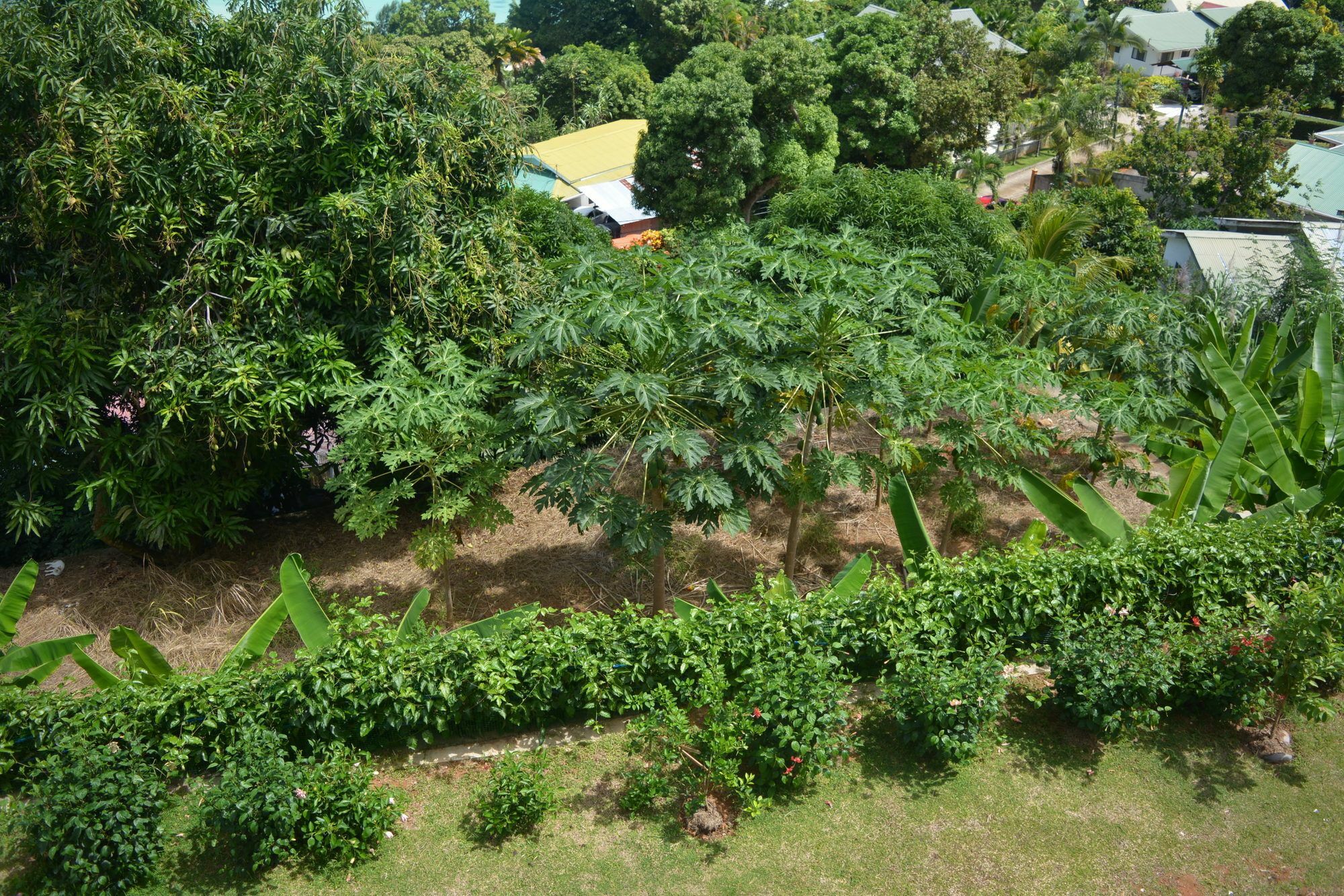 Manfiyo Guest House Anse Boileau ภายนอก รูปภาพ